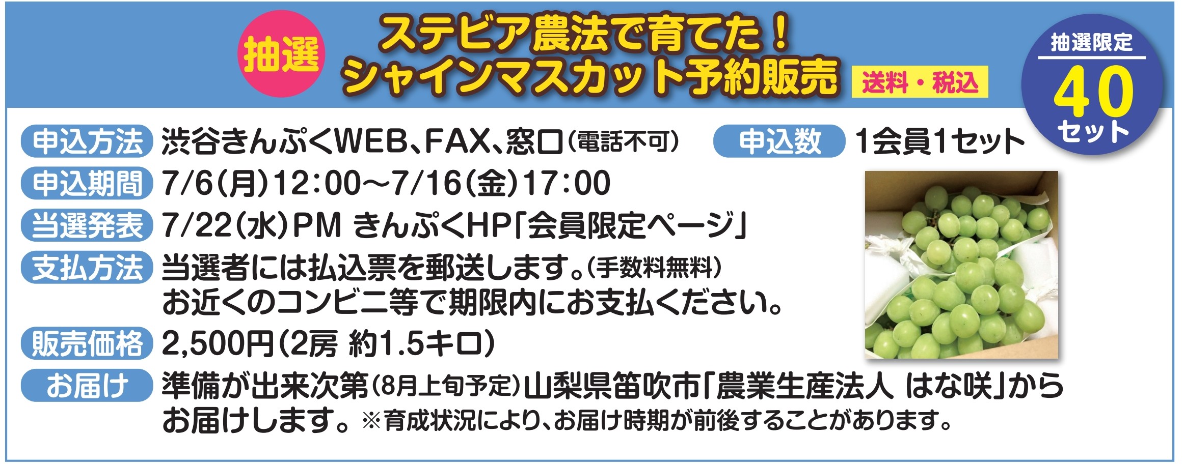 7月号掲載　送料・税込みシャインマスカット抽選販売　1会員1セットまで